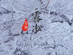 -雾凇岛