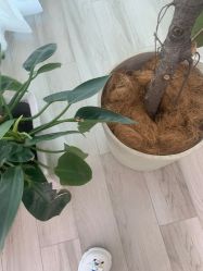-HEYAN荷妍专业脱毛连锁机构