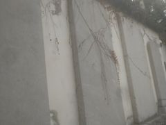 -苏州文庙(姑苏区)