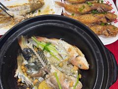 -蛇口康乐快餐鱼仔档(翠苑小区店)
