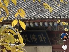 -天龙宝严素食馆(大兴善寺店)
