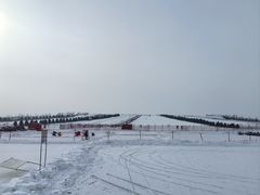 -呼兰河口湿地公园