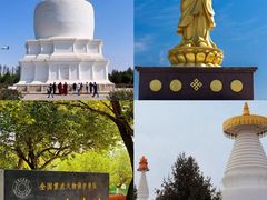 -凉州白塔寺景区