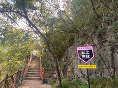 -千岛湖石林