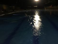 -东海森林温泉度假酒店