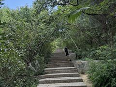 -佛慧山