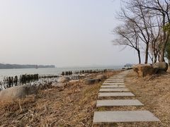 -长广溪湿地公园