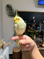 -Zoolung Zoolung动物主题公园(海信广场店)