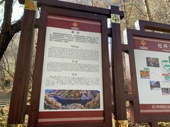 -叠溪松坪沟景区