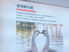 -陆记鹅庄·潮汕菜·狮头鹅(大仟里店)