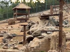 -石家庄市动物园