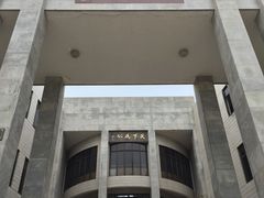 -中山大学学者灵芝(园南路店)