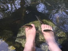 -西安国际创新人才交流中心•药浴温泉