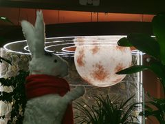 -Dragon Pizza•圆脸龙披萨·牛排餐厅