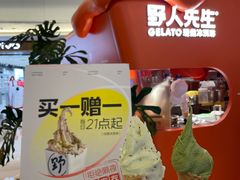 -野人先生现做冰淇淋(北京王府井东方新天地店)