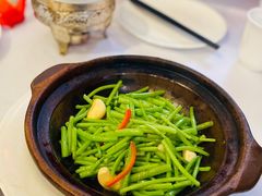 砂锅长杆茼蒿-同庆楼(大钟寺店)