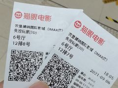 -农垦博纳国际影城(津奥广场IMAX店)