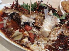 -杨氏青龙虾·羊蝎子(珠江路店)