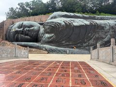 -三水森林公园
