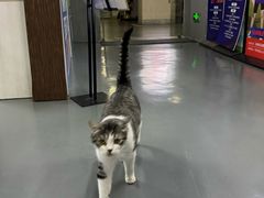 -蓝天射箭馆·专业射箭运动(诚丰广场店)