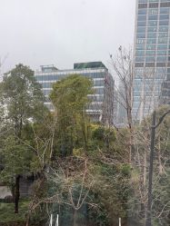 -上海首尔丽格医疗美容医院