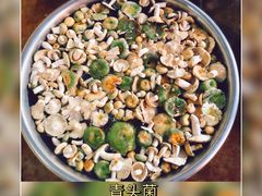 青头菌-双喜农庄·菌香园(安居家园店)