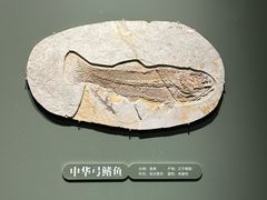 -遇见博物馆(遇见海洋沉浸式奇幻光影展)