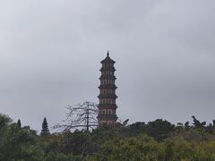-广州莲花山旅游区