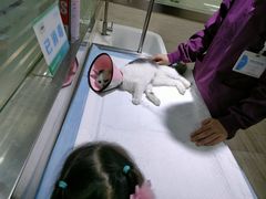 -暖阳宠物医院·犬猫康复中心·骨科