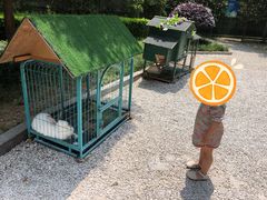 -成都安仁福朋喜来登酒店