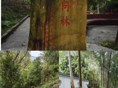 -火炉山森林公园