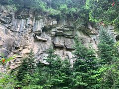 -芦芽山旅游度假区
