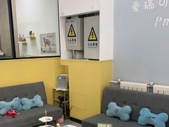 -瑞派·爱瑞可动物医院·口腔专科(广华新城分院)