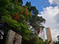 -九龙公园