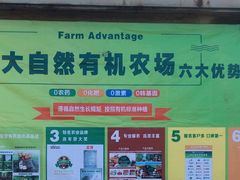 -大自然农场蔬菜草莓采摘园