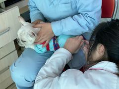 -乐宠动物医院