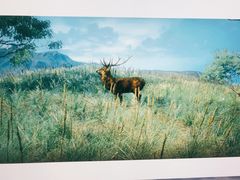 -汇众教育(光谷校区)