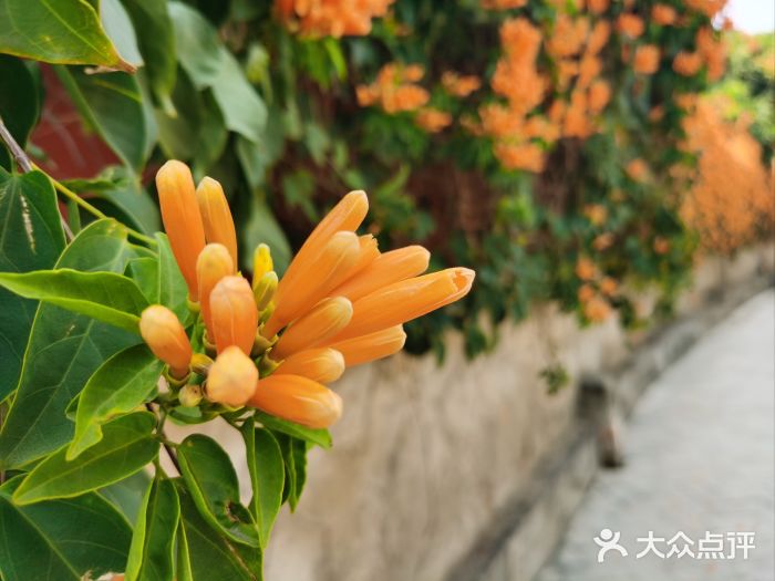 洛阳桥图片