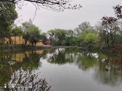 -中国湿地博物馆