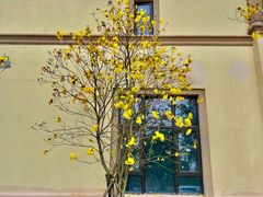 -恒大世纪梦幻城