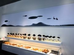 -BLACKSWAN黑天鹅(环球店)
