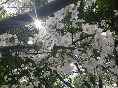 android_upload_pic-蠡湖大桥公园