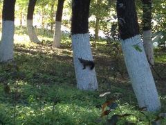 -辽东学院(南校区)