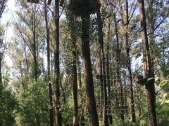 -顺鑫绿色度假村