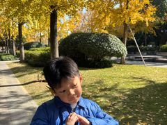 -杭州城北体育公园