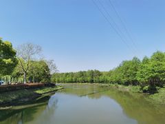 -上海海湾国家森林公园