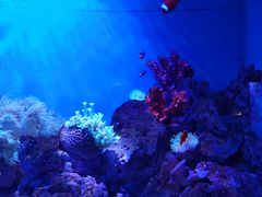 -石家庄海洋公园
