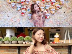 -柴犬高等学院·狗咖·柴犬售卖·宠物训练