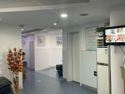 -温州伯思立医院