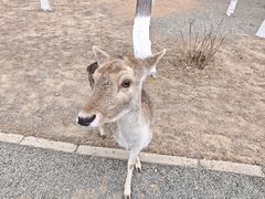-北戴河集发农业梦想王国